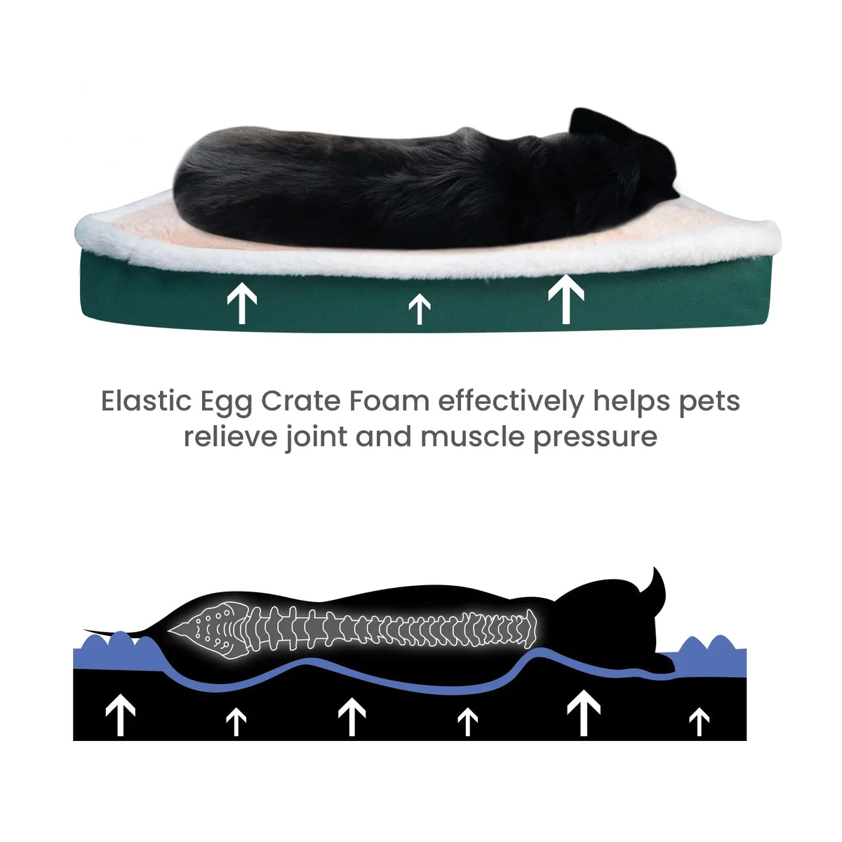 Ultra Plush Deluxe Orthopedic Foam Dog Bed Rectangular Cat Dog Mats / Removable Cover Pet Mattress Cushion for Small Large Dogs
